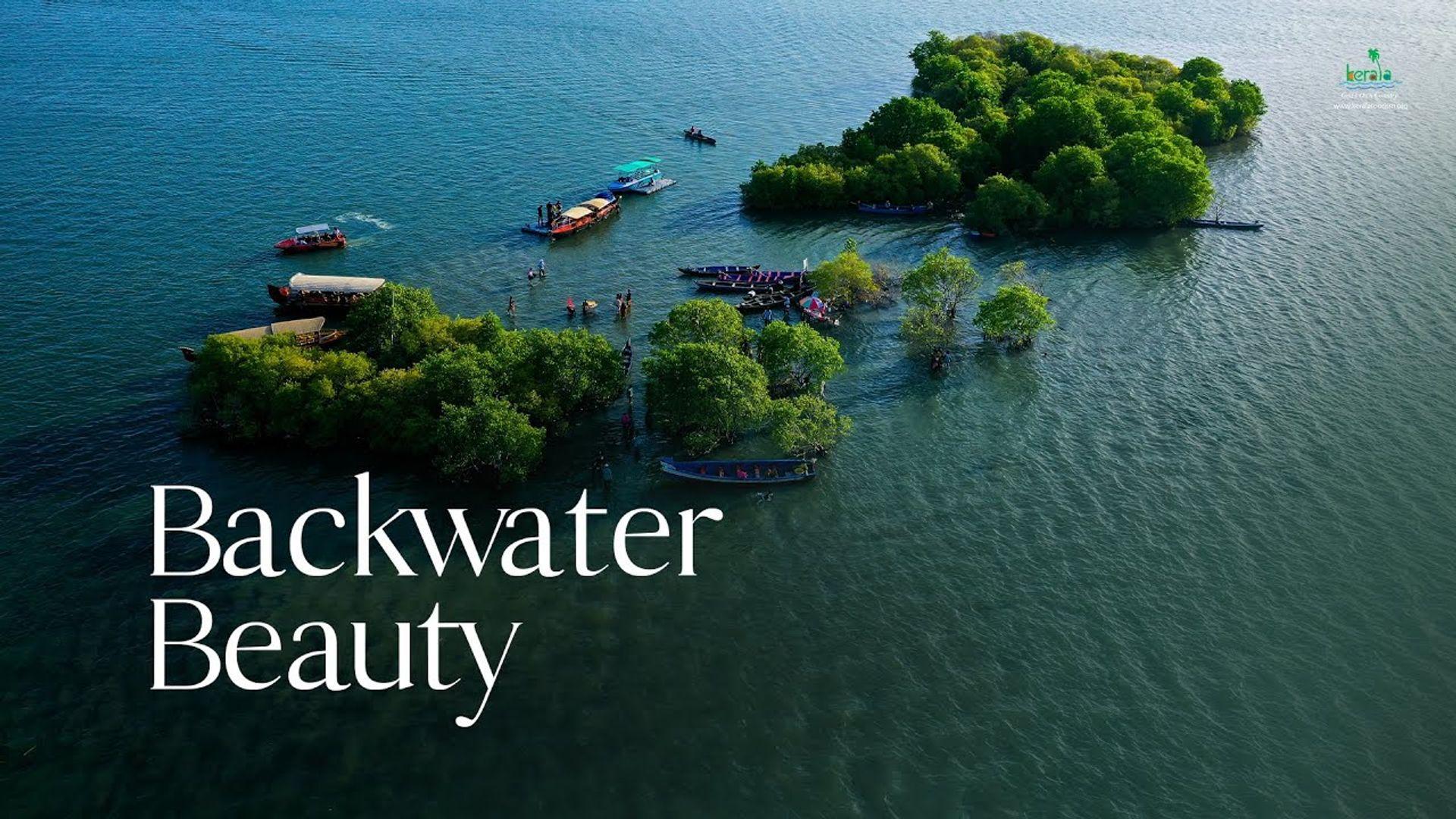 Ashtamudi Lake