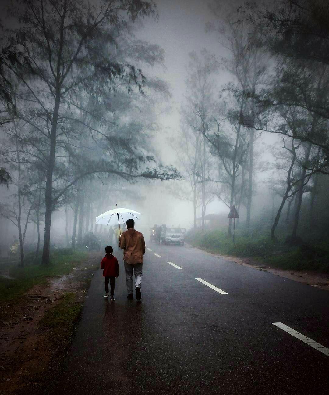 Ponmudi Hill Trek