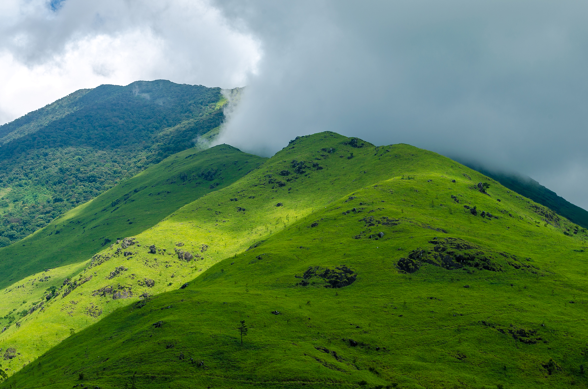 banasura Trekking